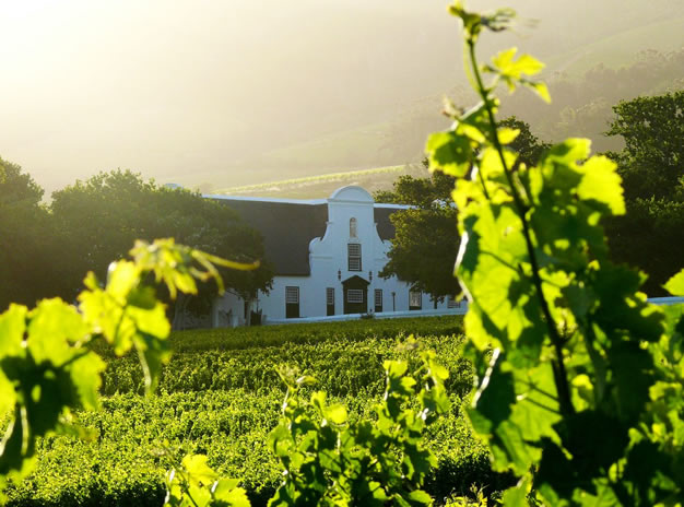 Full Day Wine Tour – Cape Town