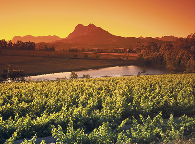 Full Day Wine Tour