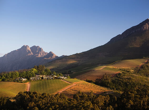 Half Day Wine Tour – Cape Town