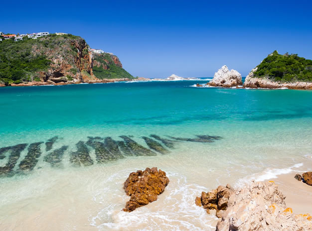 Garden Route Tours