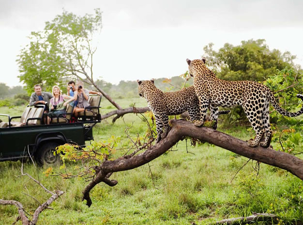 Half Day Durban City Tour – Durban