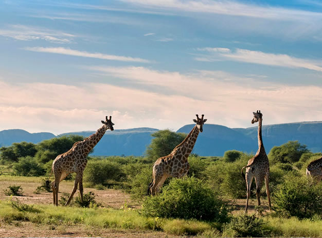 Malelane Tours