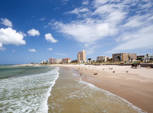 Port Elizabeth Tours