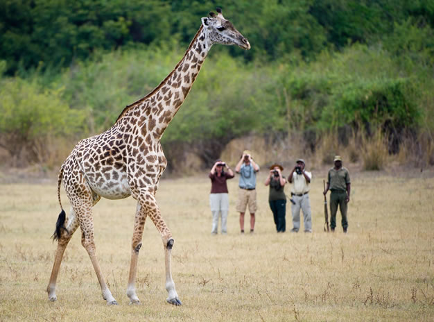 Morning Walking Safari – Kruger National Park Day Tours